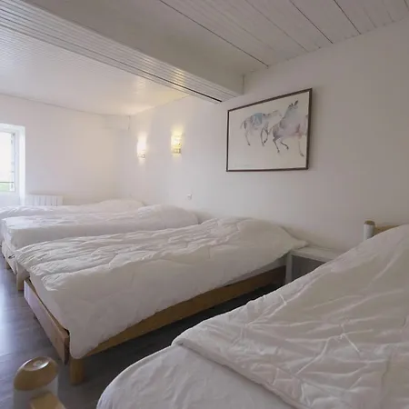 La Tribu 12 Minutes Du Puy Du Fouu Vakantiehuis Les Herbiers